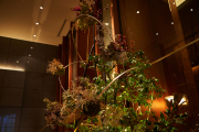 22 1201 ANDAZ39216